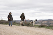 MARA, Hund, Herdenschutzhund-Mix in Spanien - Bild 5