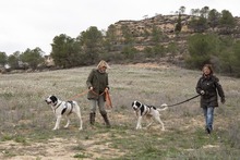 MARA, Hund, Herdenschutzhund-Mix in Spanien - Bild 6