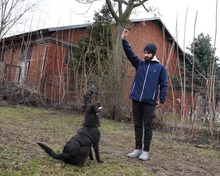 AISHA, Hund, Mischlingshund in Rumänien - Bild 5