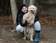 FLUFFY, Hund, Puli-Mix in Erkelenz - Bild 3