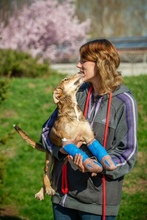 TZATZIKI, Hund, Mischlingshund in Erkelenz - Bild 5
