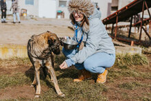 DALIYA, Hund, Mischlingshund in Bulgarien - Bild 4