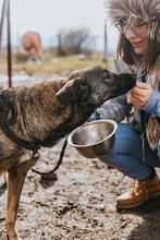 DALIYA, Hund, Mischlingshund in Bulgarien - Bild 5