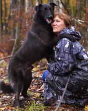 ROCKY, Hund, Mischlingshund in Hamburg - Bild 10