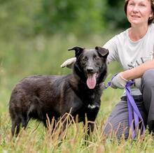 ROCKY, Hund, Mischlingshund in Hamburg - Bild 7