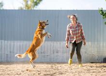 AUGUST, Hund, Mischlingshund in Thale - Bild 12