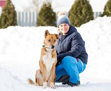 AUGUST, Hund, Mischlingshund in Thale - Bild 14