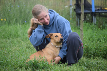 PIA, Hund, Mischlingshund in Ungarn - Bild 3