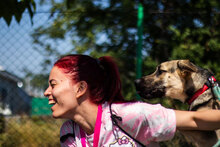 ELLY, Hund, Mischlingshund in Bulgarien - Bild 5