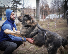 HAGRID, Hund, Mischlingshund in Essen - Bild 2