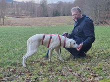 MARTE-MARTA, Hund, Mischlingshund in Oberviechtach - Bild 3