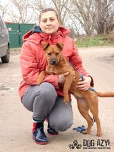 FLOWER, Hund, Mischlingshund in Slowakische Republik - Bild 9