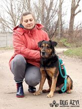 MALCOLM, Hund, Mischlingshund in Slowakische Republik - Bild 10