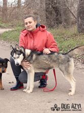 MIKAYLA, Hund, Mischlingshund in Slowakische Republik - Bild 12