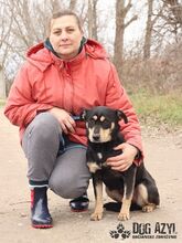 TAMMY, Hund, Mischlingshund in Slowakische Republik - Bild 8