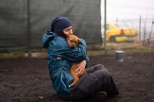 HARP, Hund, Mischlingshund in Rumänien - Bild 20