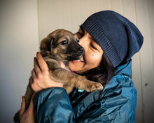 TUBA, Hund, Mischlingshund in Rumänien - Bild 8