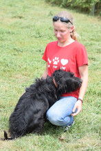 ELMO, Hund, Mischlingshund in Ungarn - Bild 4