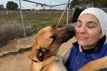 JACK, Hund, Malinois-Mix in Geilenkirchen - Bild 7