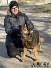 NOVA, Hund, Mischlingshund in Slowakische Republik - Bild 10