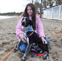 KIKO, Hund, Labrador-Mix in Spanien - Bild 3