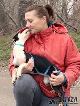 WINNIE, Hund, Mischlingshund in Slowakische Republik - Bild 10