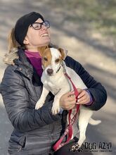 JUMPINGJACK, Hund, Mischlingshund in Slowakische Republik - Bild 8