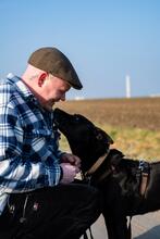 ROSI, Hund, Mischlingshund in Salzgitter - Bild 8