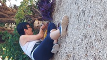 SARA, Hund, Mischlingshund in Spanien - Bild 1