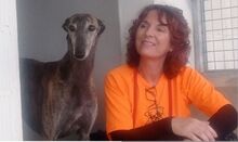 DIANA, Hund, Galgo Español in Spanien - Bild 7