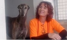 DIANA, Hund, Galgo Español in Bassenheim - Bild 7