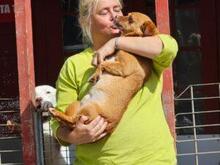 MIRTO, Hund, Mischlingshund in Bonn - Bild 10