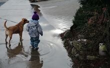 MIA, Hund, Mischlingshund in Haßfurt - Bild 2