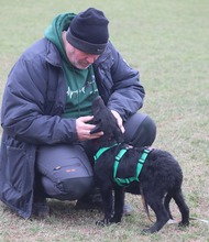 TOBI 055-25-MA/P, Hund, Mischlingshund in Krefeld - Bild 18