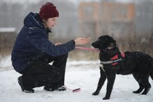 ANIKA, Hund, Mischlingshund in Bad Bevensen - Bild 5