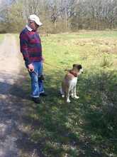 CHARLIE, Hund, Mischlingshund in Marburg - Bild 9