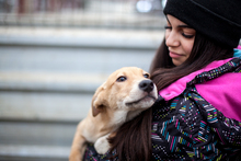 FABIUS, Hund, Mischlingshund in Duisburg - Bild 3