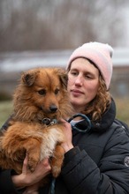 YUKON, Hund, Mischlingshund in Ungarn - Bild 5