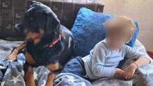 JOYA, Hund, Rottweiler in Fluorn-Winzeln - Bild 8