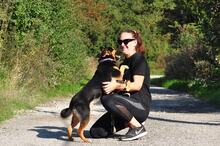 BROWNIEC56, Hund, Mischlingshund in Slowakische Republik - Bild 8