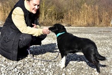 DASENKA, Hund, Mischlingshund in Slowakische Republik - Bild 11