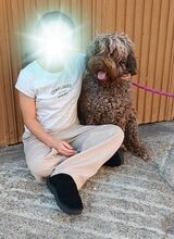 MIA, Hund, Mischlingshund in Spanien - Bild 9