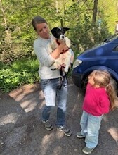 TEDDY, Hund, Mischlingshund in Erkelenz - Bild 12