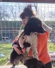 EMMA, Hund, Mischlingshund in Rumänien - Bild 20