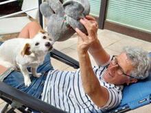 PREZZEMOLINA, Hund, Mischlingshund in Ehrenkirchen - Bild 11