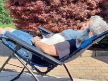 PREZZEMOLINA, Hund, Mischlingshund in Ehrenkirchen - Bild 8