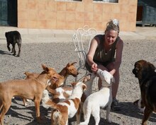 ELODIE, Hund, Podenco-Mix in Spanien - Bild 16