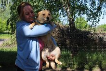 BONNIE, Hund, Mischlingshund in Ungarn - Bild 6