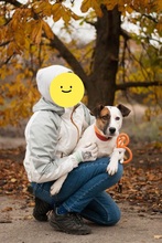 ALPHA, Hund, Terrier-Mix in Ukraine - Bild 5