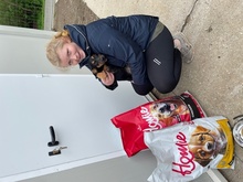 AMELI, Hund, Mischlingshund in Ungarn - Bild 10